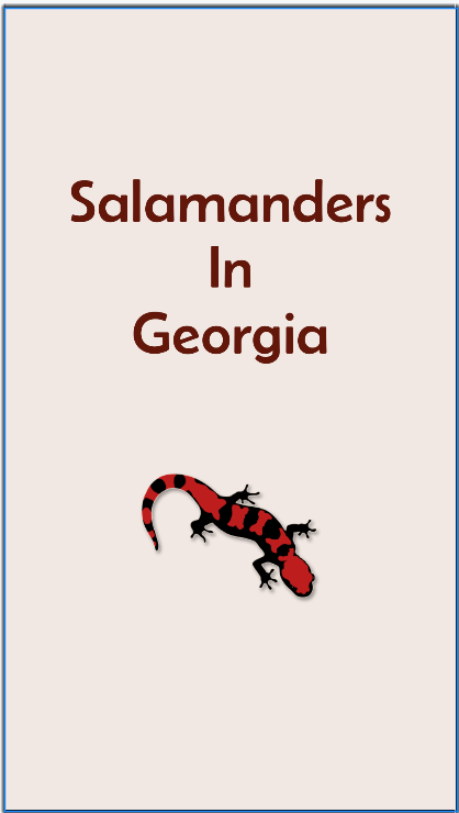 Salamander App Image